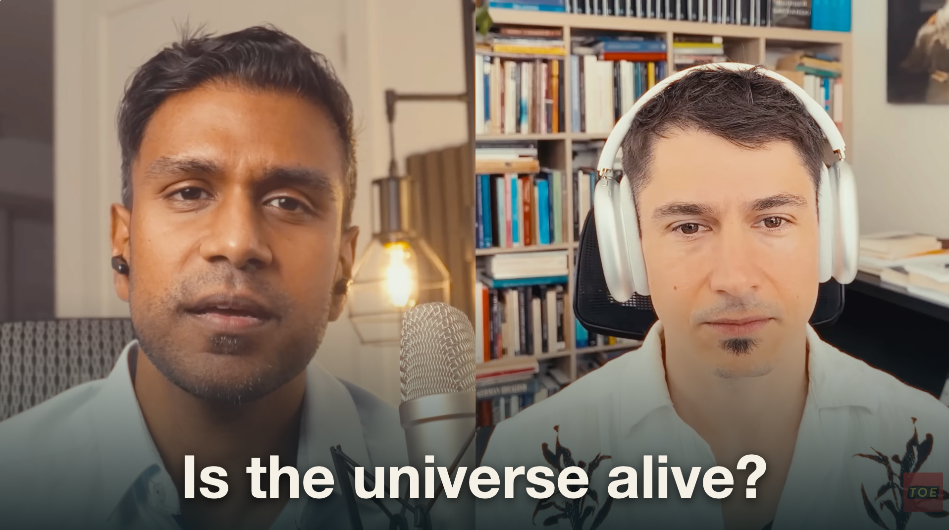 Is the universe alive? — dialogue with Curt Jaimungal